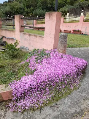 Giardino di Bithia Apartment