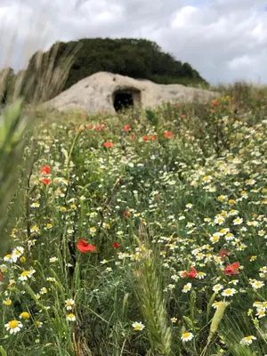 Paesaggio naturale nelle vicinanze del bed & breakfast