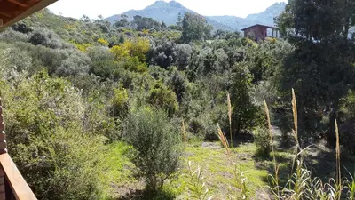 Paesaggio naturale nelle vicinanze della villa