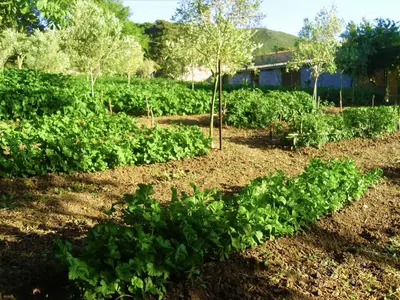 Giardino di Agriturismo SaTanca