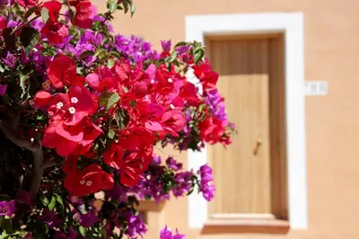 Giardino di TH Costa Rei - Free Beach Resort