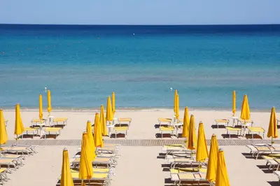 Spiaggia vicina o nei dintorni dell'hotel