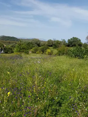 Paesaggio naturale nelle vicinanze dell'hotel