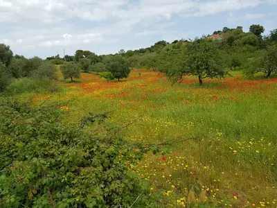 Paesaggio naturale nelle vicinanze dell'hotel