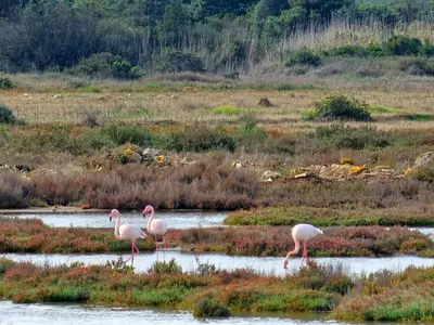 Paesaggio naturale nelle vicinanze del bed & breakfast