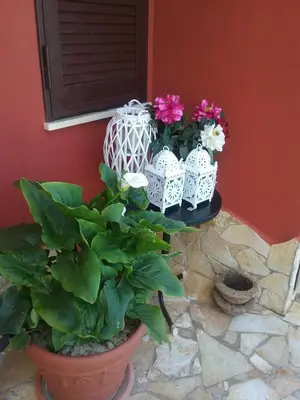 Planimetria di Stella