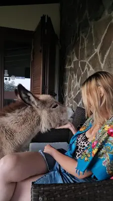 Altri animali domestici presso il bed & breakfast o nei dintorni