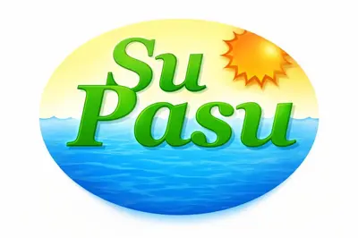 Planimetria di Su Pasu