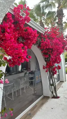 Giardino di La Casa di Nina