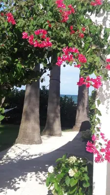 Paesaggio naturale nelle vicinanze del bed & breakfast