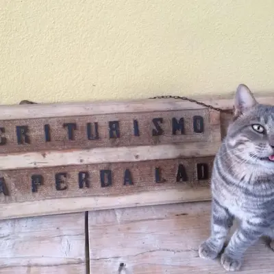 Sa Perda Lada