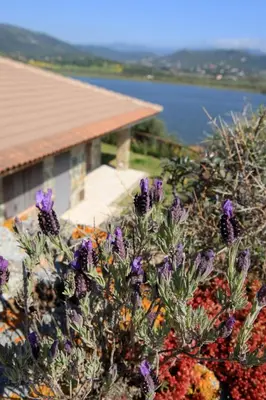 Paesaggio naturale nelle vicinanze della casa vacanze
