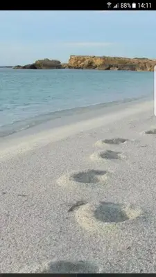 Paesaggio naturale nelle vicinanze dell'appartamento