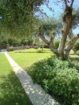Giardino di Villa Mediterraneo