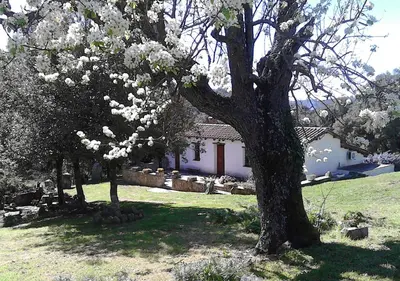 Giardino di B&B I Menhir