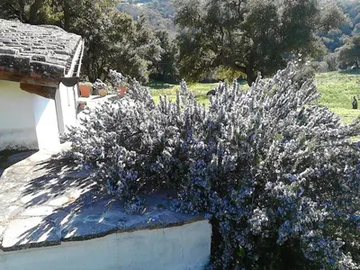 Giardino di B&B I Menhir