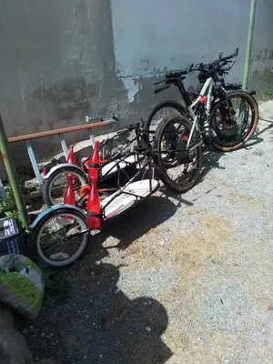 Attività di ciclismo presso il bed & breakfast o nelle vicinanze