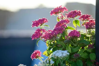Paesaggio naturale nelle vicinanze del bed & breakfast