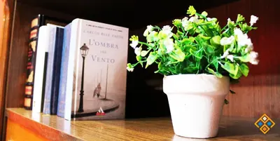 Biblioteca nell'appartamento