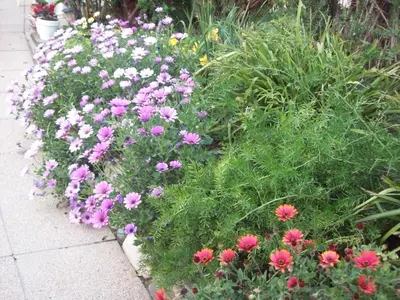Giardino di B&B Kazakova