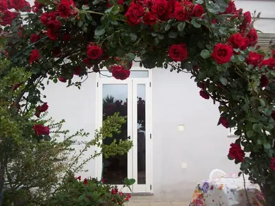 Giardino di B&B Kazakova