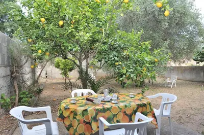 Giardino di The Dream House in Sardinia