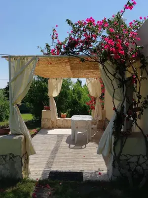 Giardino di Borgo degli Ulivi Depandance