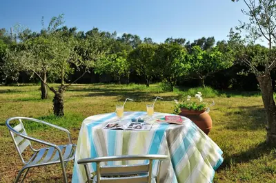 Giardino di Casa vacanze Congiu