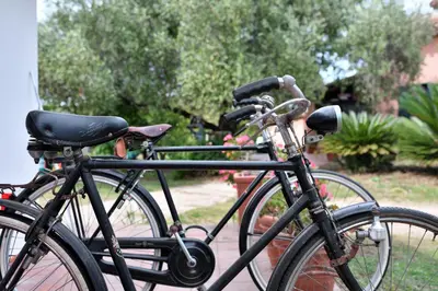 Attività di ciclismo presso la villa o nelle vicinanze