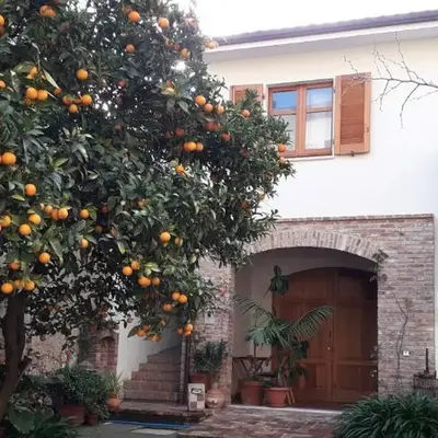 L'arancio Antico
