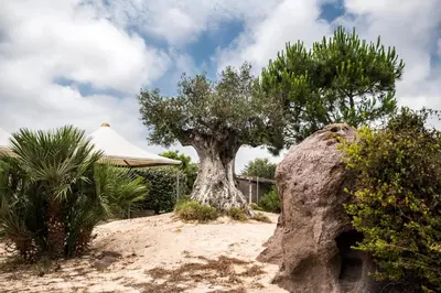 Paesaggio naturale nelle vicinanze del bed & breakfast