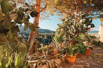 Paesaggio naturale nelle vicinanze del bed & breakfast
