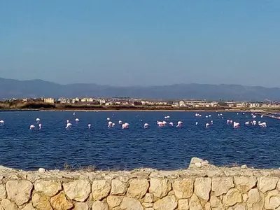 Paesaggio naturale nelle vicinanze della casa vacanze