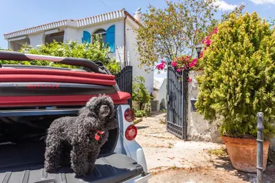 Ospiti di Gangdigiorgia con animali domestici