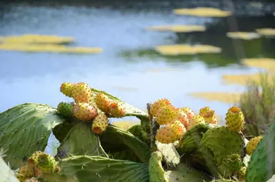 Paesaggio naturale nelle vicinanze del bed & breakfast