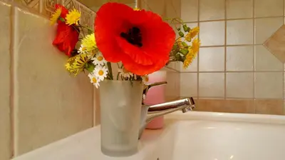 Bagno di Agriturismo Chiai Francesco