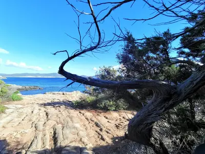 Paesaggio naturale nelle vicinanze della casa vacanze