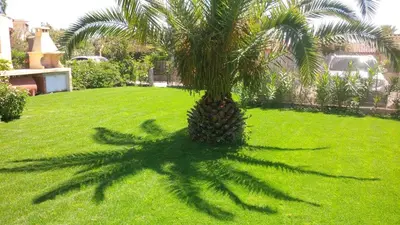 Giardino di Villino Mimosa