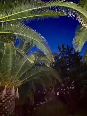 Giardino di Hotel I Ginepri