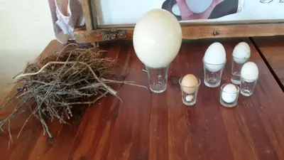 Planimetria di Agriturismo Su Solianu