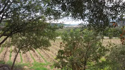 Paesaggio naturale nelle vicinanze dell'agriturismo