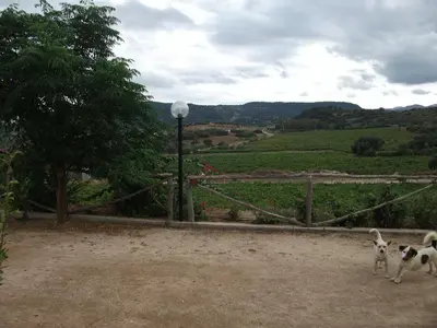 Paesaggio naturale nelle vicinanze dell'agriturismo