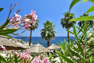 Paesaggio naturale nelle vicinanze del resort