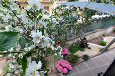 Giardino di Villa Elisabetta Apartments