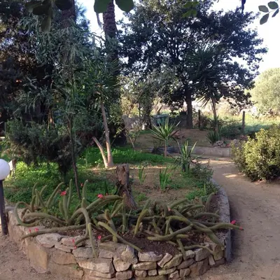 Giardino di Is Tanas