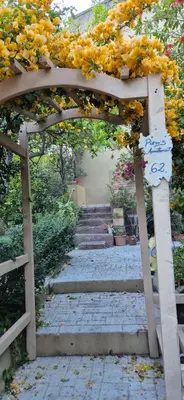Giardino di Piero's Apartment
