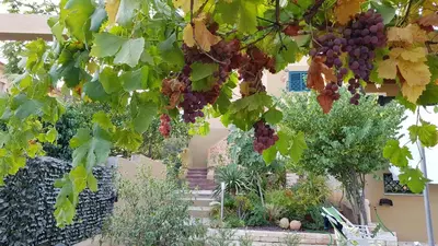 Giardino di Piero's Apartment