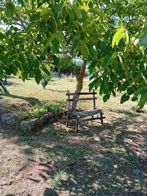 Giardino di Lugori