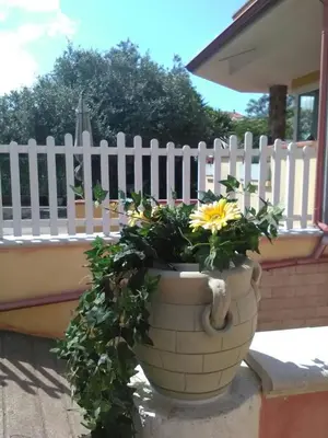 Balcone o terrazza di B&B Il Girasole
