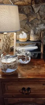 Planimetria di Room & Relax EleinaD